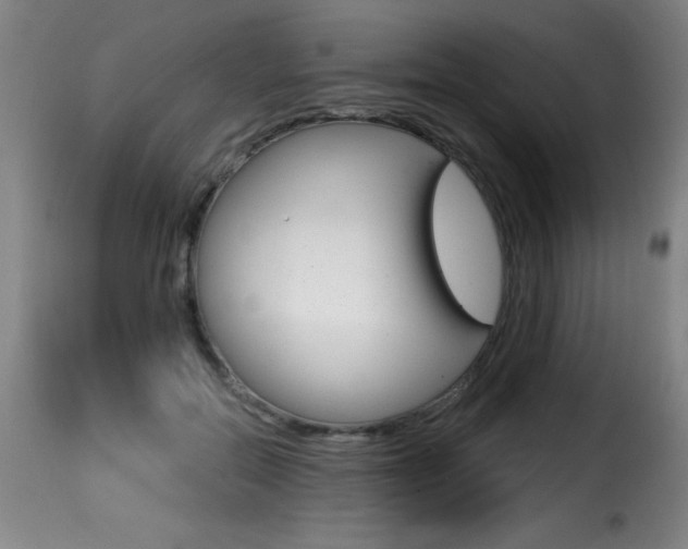 X0000116010554200911191240