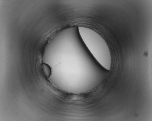 X0000116010555200911191240