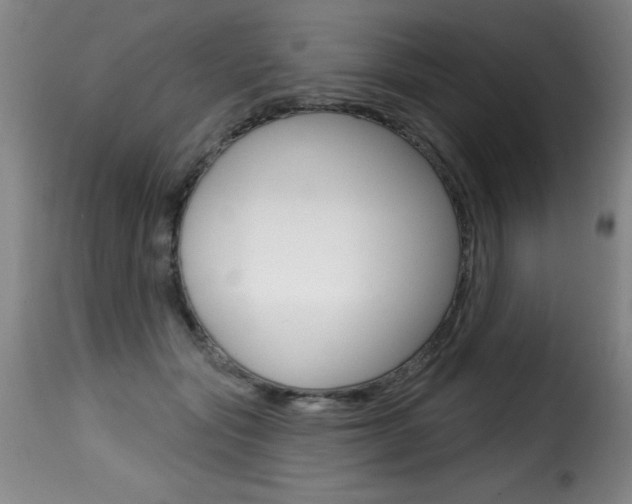 X0000116010557200911191240