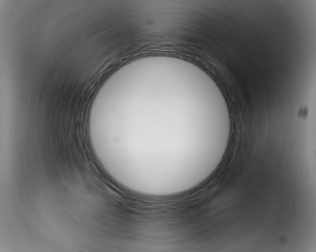 X0000116010558200911191240
