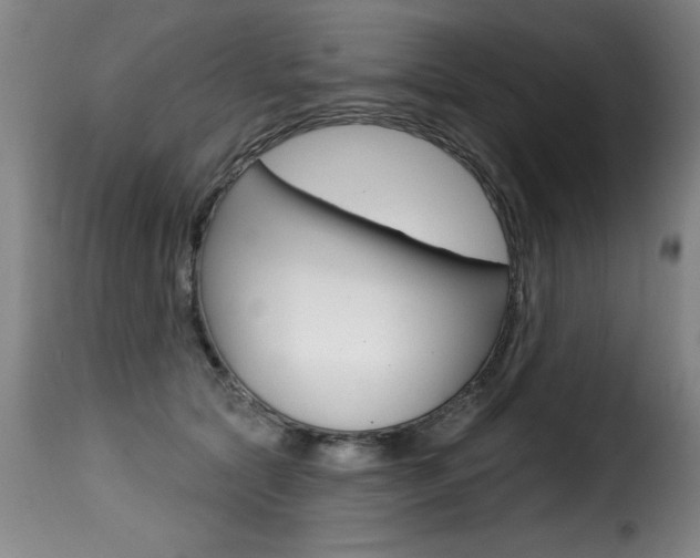 X0000116010561200911191240