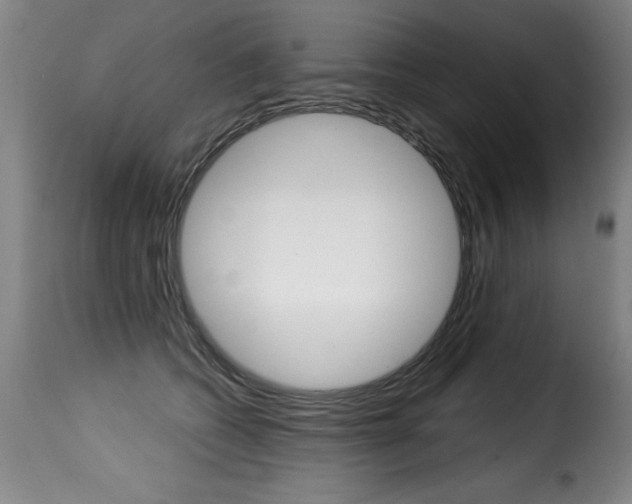 X0000116010562200911191240