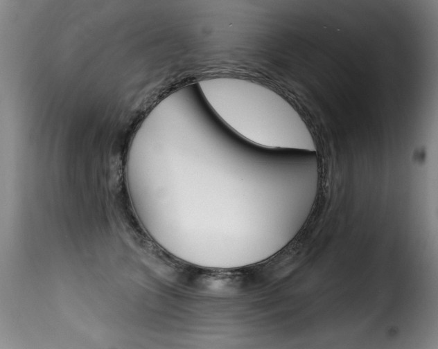 X0000116010563200911191240