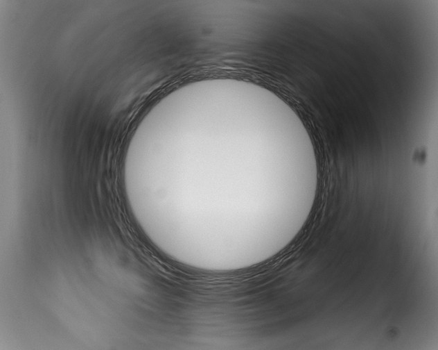 X0000116010566200911191240