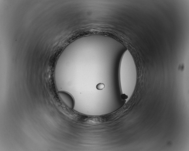 X0000116010567200911191240