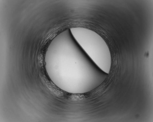 X0000116010571200911191240