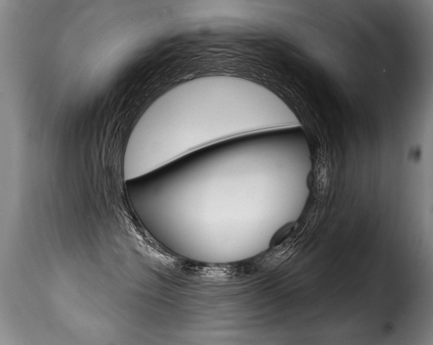 X0000116010574200911191240