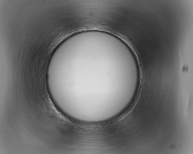 X0000116010577200911191240