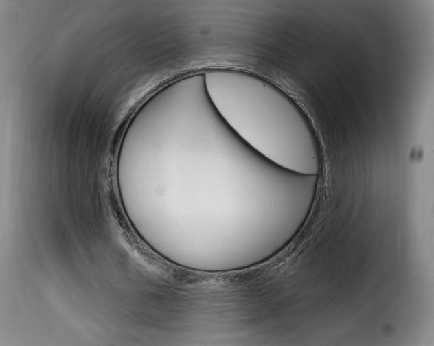 X0000116010578200911191240