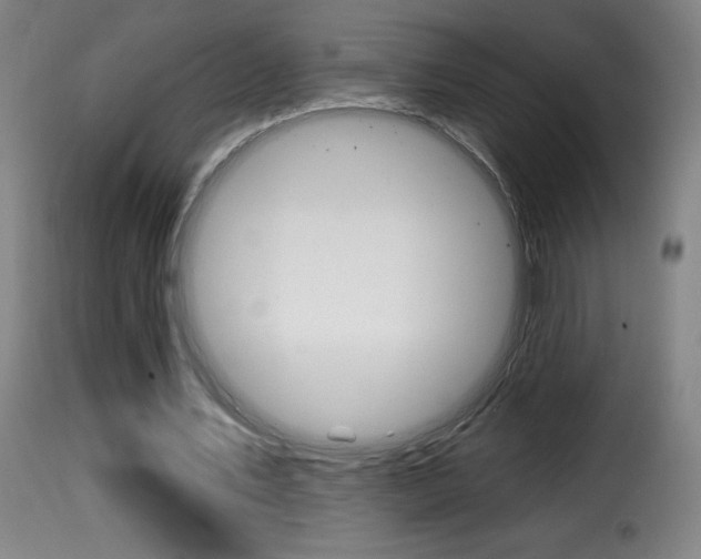 X0000116010579200911191240