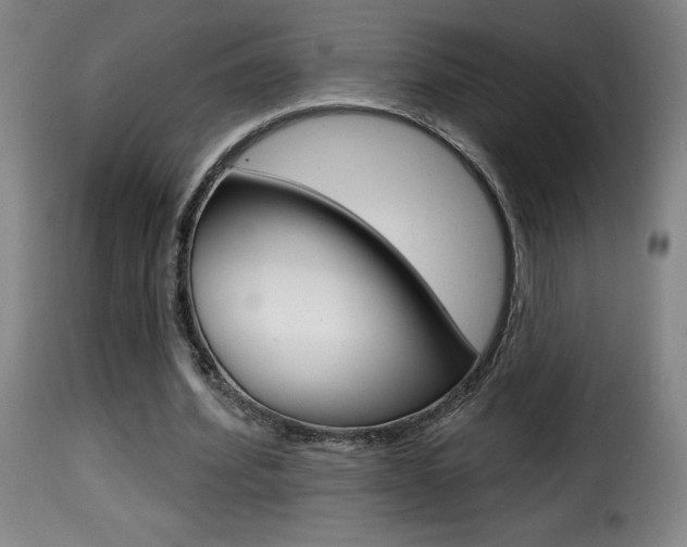 X0000116010580200911191240