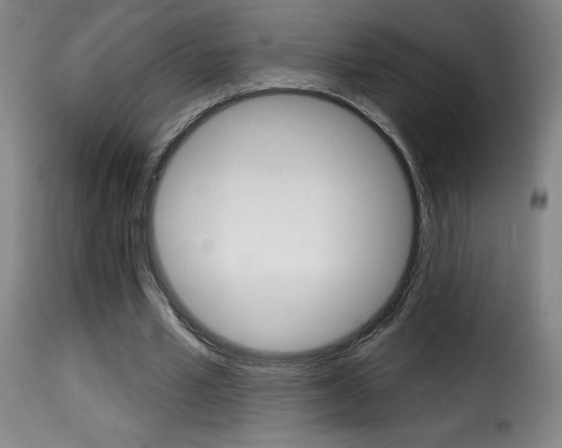 X0000116010581200911191240