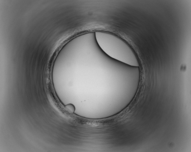 X0000116010582200911191240