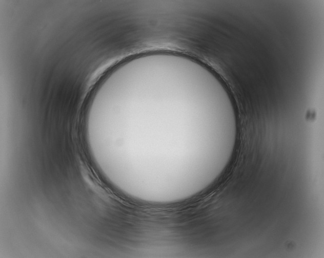 X0000116010583200911191240