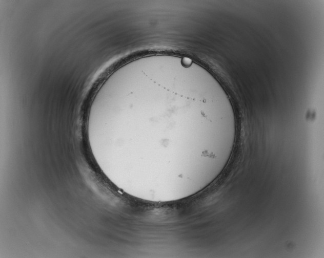 X0000116010584200911191240