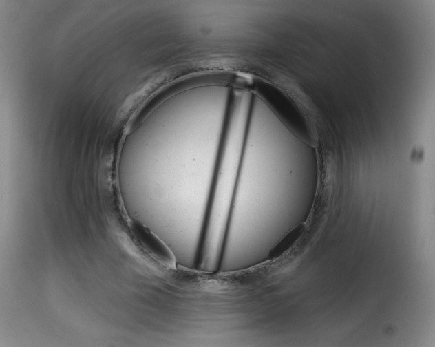 X0000116010585200911191240
