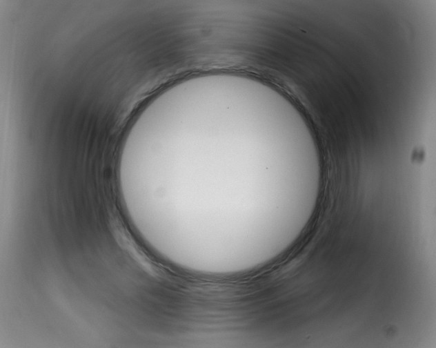 X0000116010589200911191240