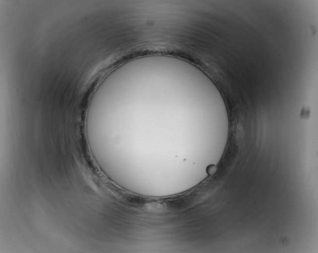 X0000116010591200911191240