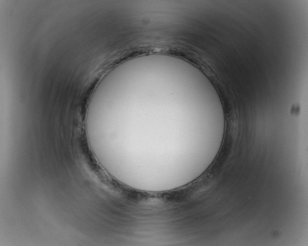 X0000116010594200911191239