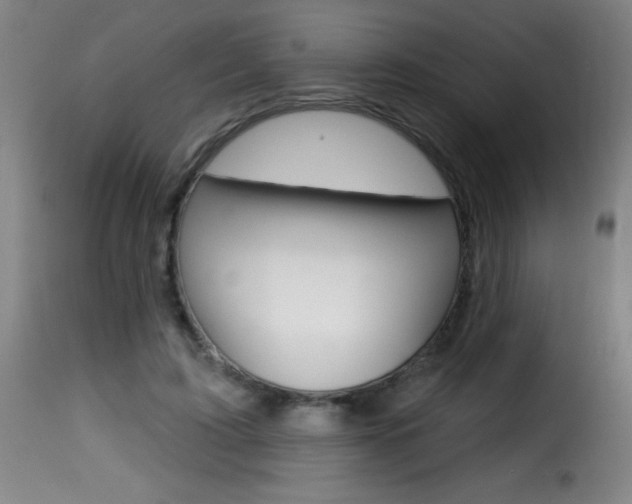 X0000116010595200911191239