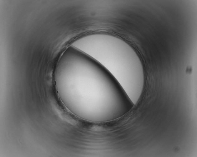 X0000116010596200911191239