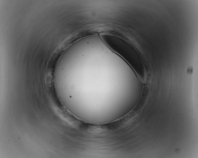 X0000116010597200911191239