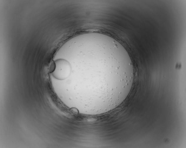 X0000116010598200911191239