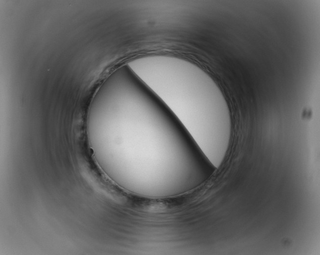 X0000116010600200911191239