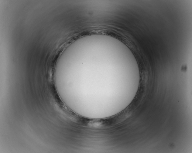 X0000116010602200911191239