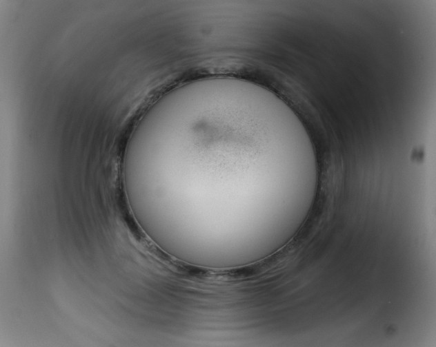 X0000116010604200911191239