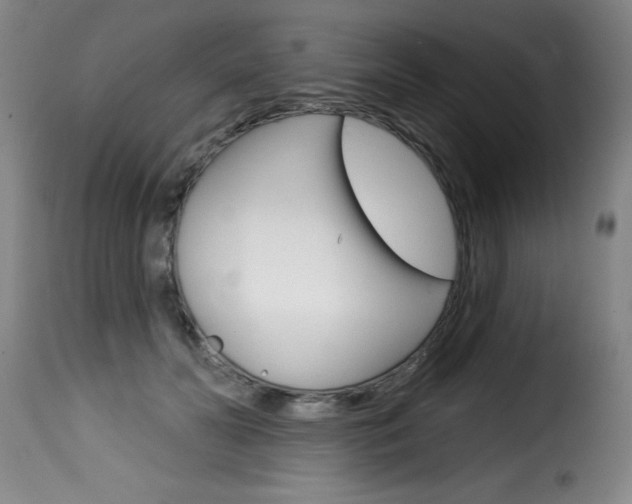X0000116010606200911191239