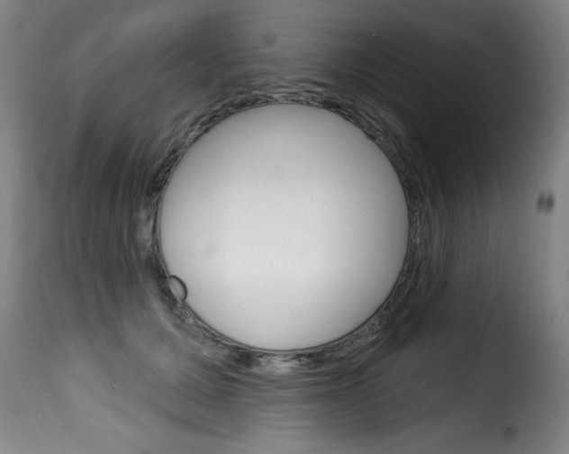 X0000116010607200911191239