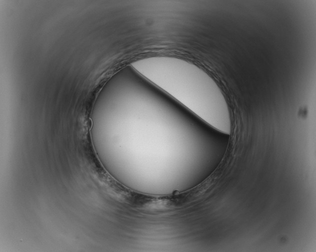 X0000116010609200911191239