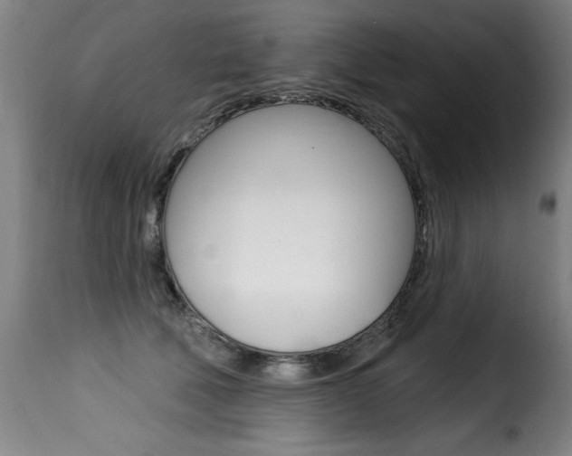 X0000116010610200911191239