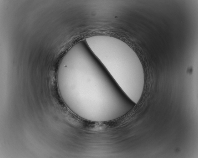 X0000116010612200911191239