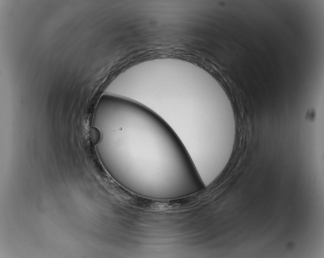 X0000116010613200911191239