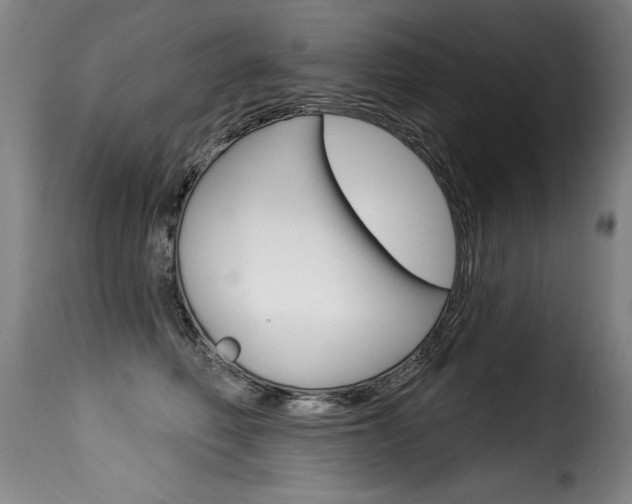 X0000116010614200911191239