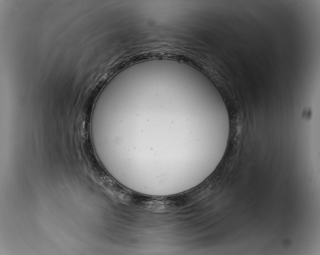 X0000116010615200911191239