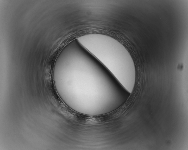 X0000116010616200911191239