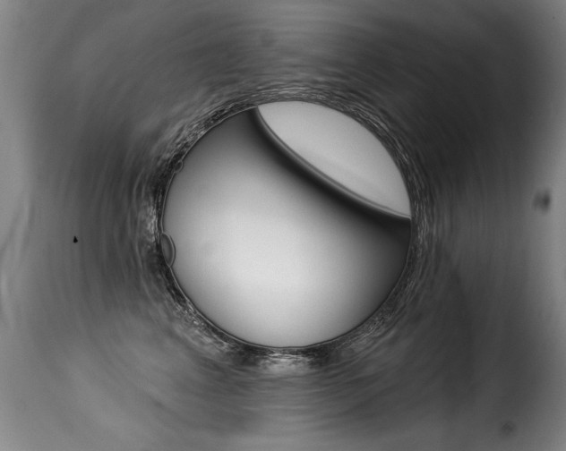 X0000116010617200911191239