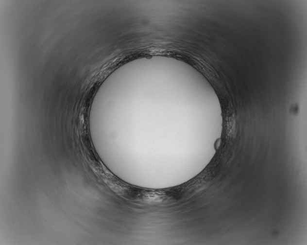 X0000116010618200911191239