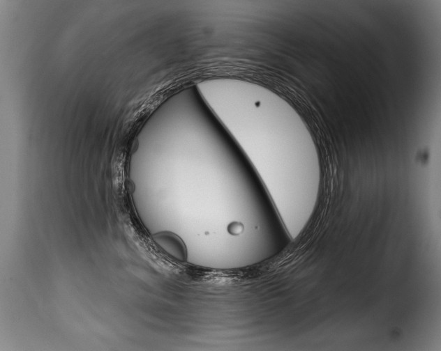 X0000116010620200911191239