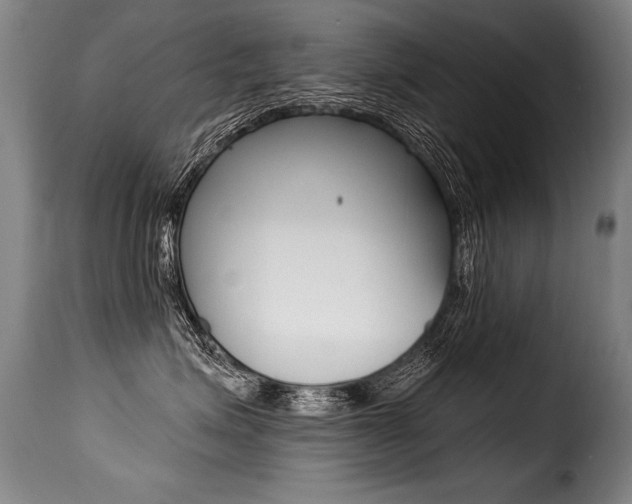 X0000116010623200911191239