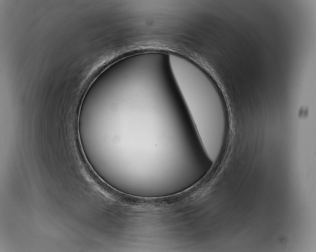 X0000116010625200911191238