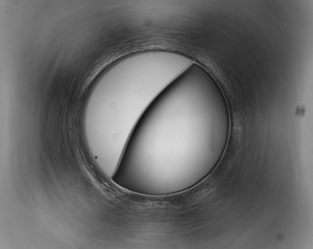 X0000116010626200911191238