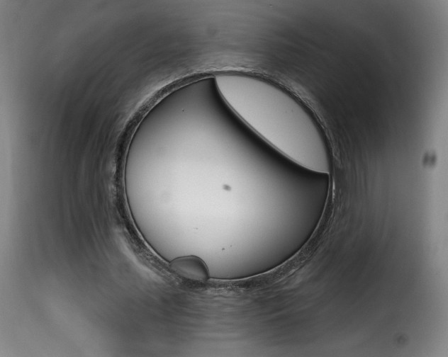 X0000116010627200911191238