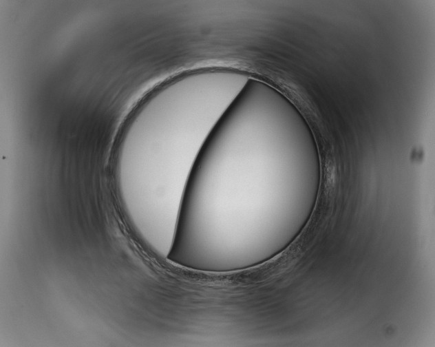 X0000116010628200911191238