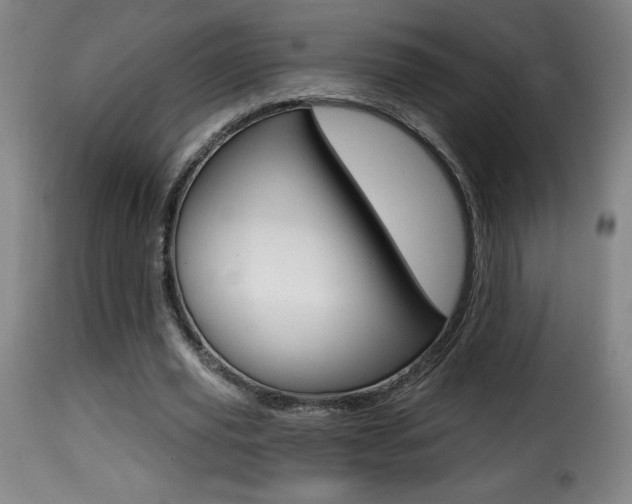 X0000116010629200911191238