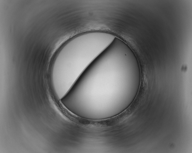 X0000116010630200911191238