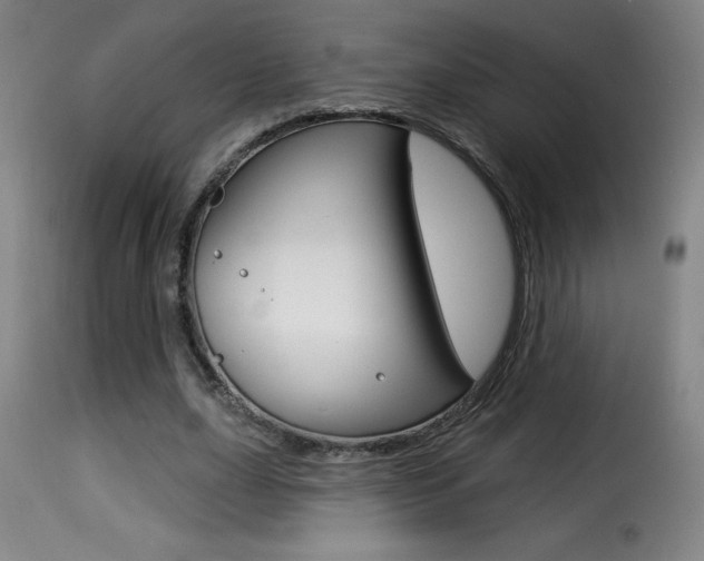 X0000116010631200911191238
